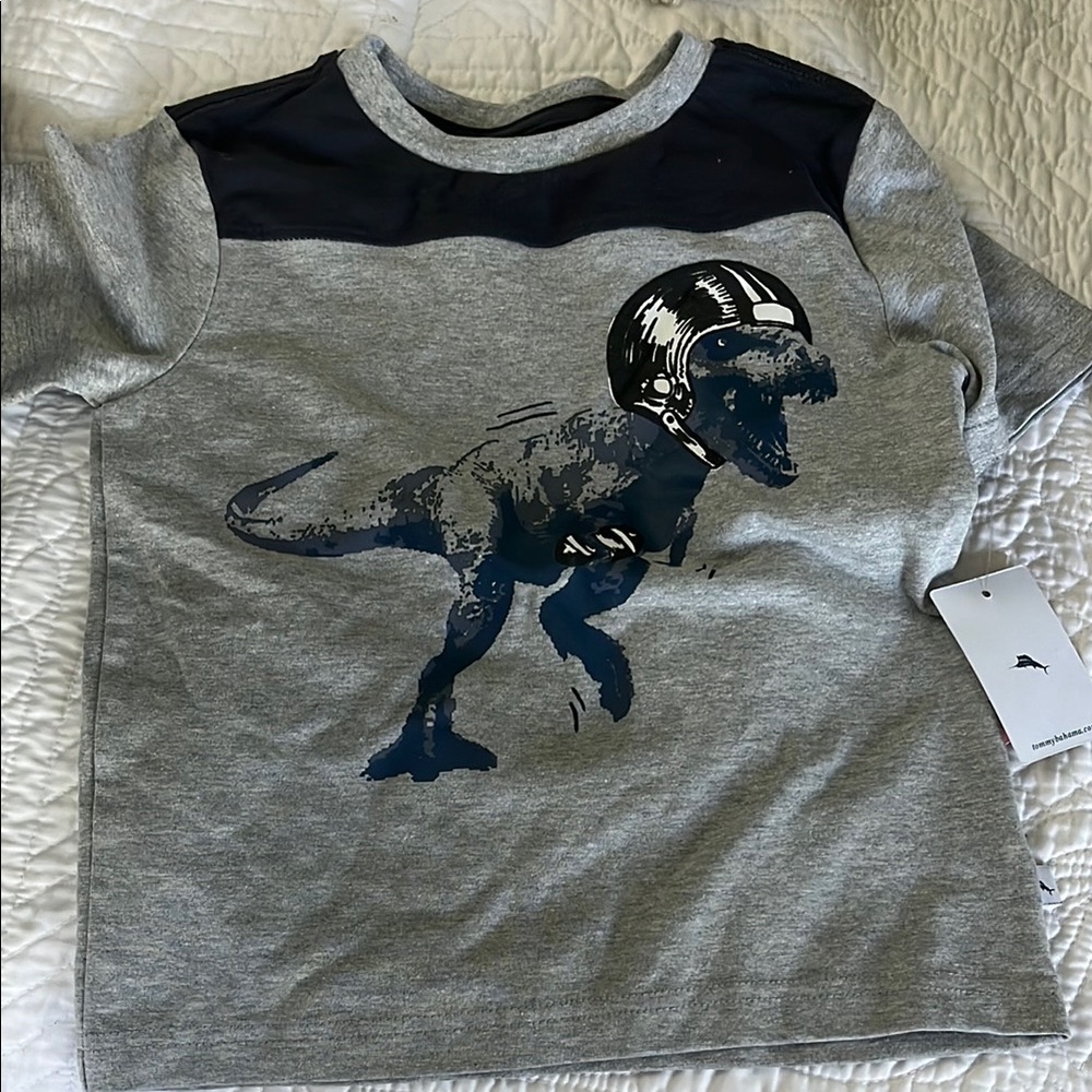 NWT Gray and Navy Dinosaur Graphic T-Shirt